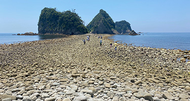 トンボロ潮溜まり自然観察体験｜伊豆自然学校