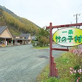 一条竹の子むら