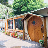 キウイフルーツ