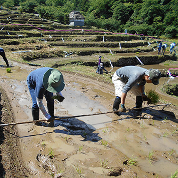 松崎町グリーンツーリズム推進協議会