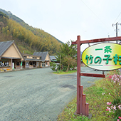 一条竹の子むら