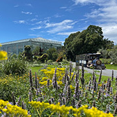 はままつフラワーパーク