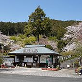 花の奥山高原
