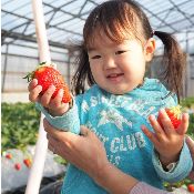 観光農園かしまハーベスト