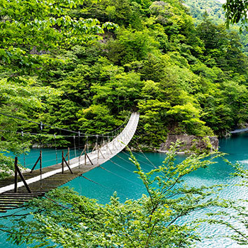 観光名所紹介「寸又峡　夢のつり橋」