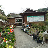 ブルーベリーの郷