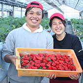 ありすふぁーむ