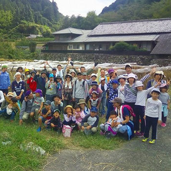 米作り体験