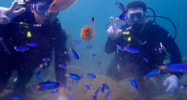 体験ダイビング