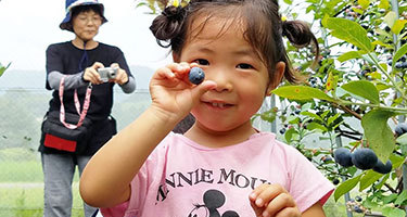 たむらのうえん