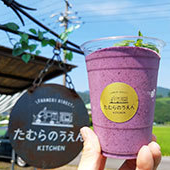 たむらのうえんブルーベリー畑