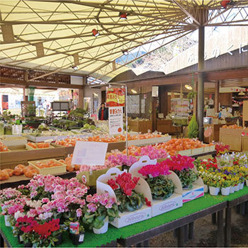 季節の野菜・果物等の販売