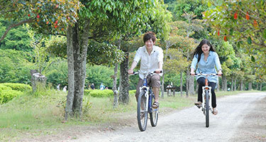 レンタルマウンテンバイク