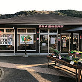 農林水産物直売所 南伊豆湯の花