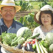 夢未来みどり塾