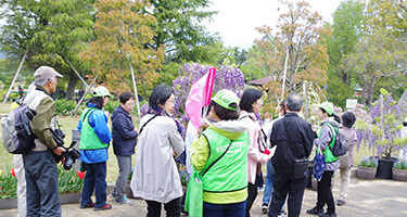 はまなこフラワーパーク