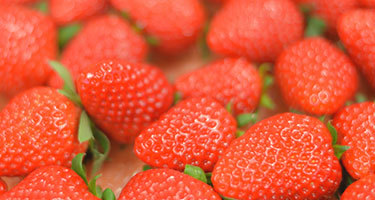 ありすふぁーむ