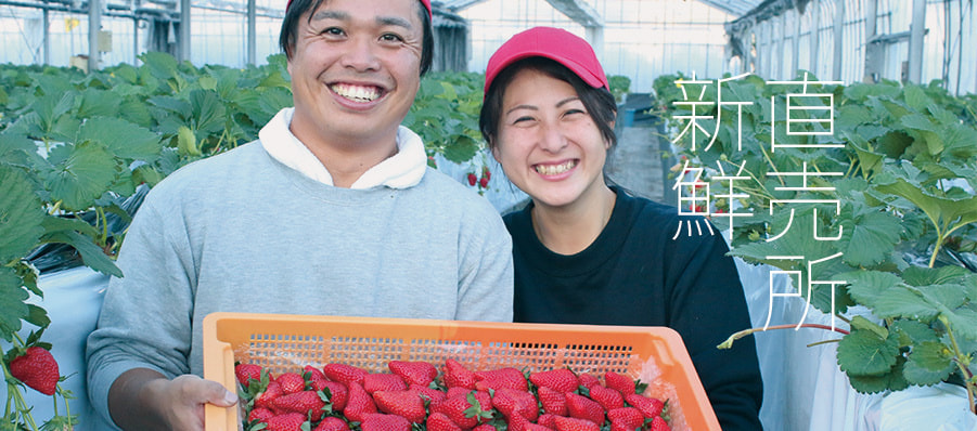 agriculture_strawberry2023.jpg